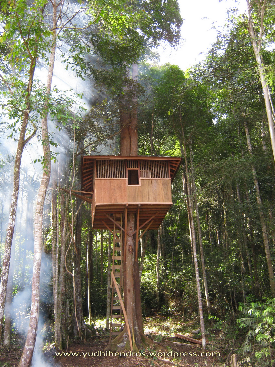 Desain Rumah  Pohon  Kecil desain taman rumah  minimalis 